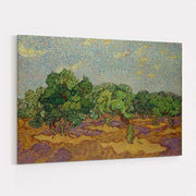 Olive Trees 1889 by Vincent Van Gogh wall art