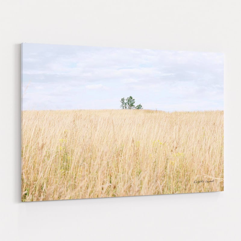 On The Edge I by Elizabeth Urquhart wall art