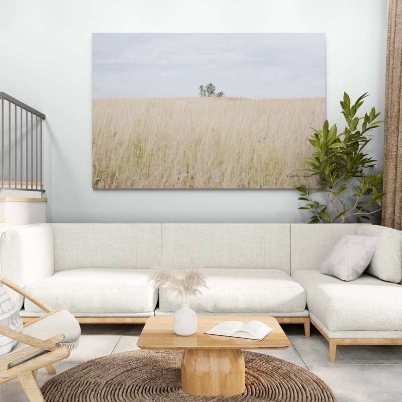 On The Edge I by Elizabeth Urquhart wall art in a living room