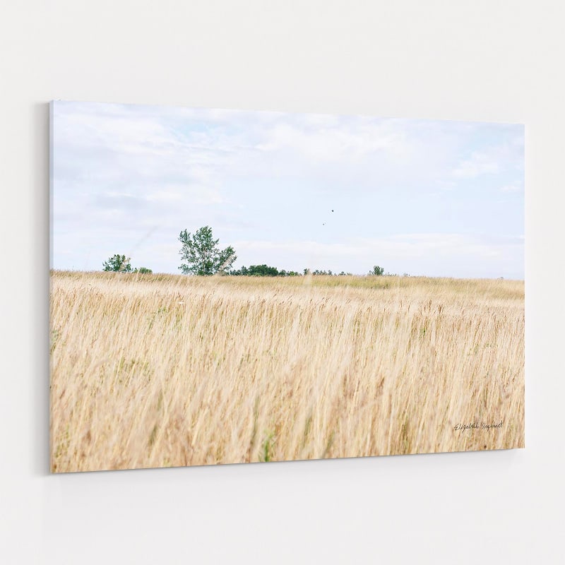 On The Edge II by Elizabeth Urquhart wall art