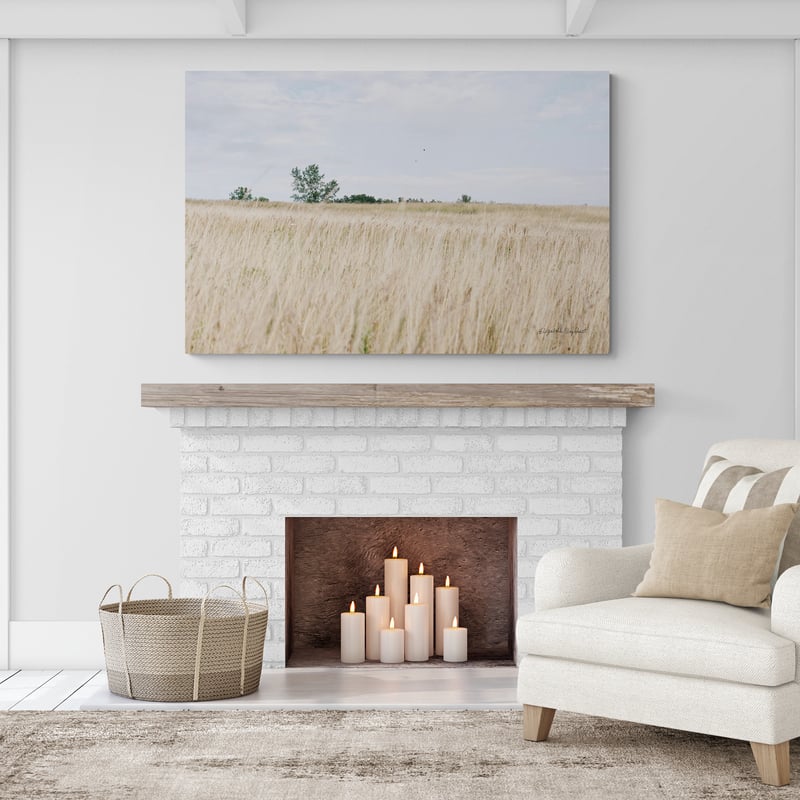 On The Edge II by Elizabeth Urquhart wall art in a living room