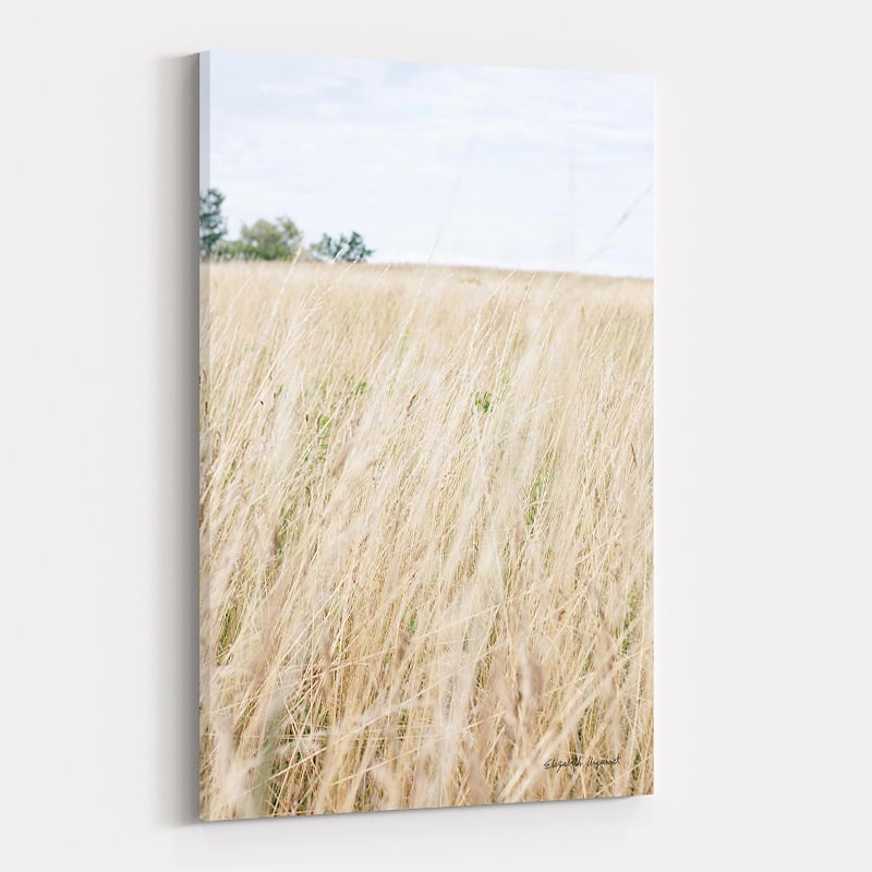 On The Edge III by Elizabeth Urquhart wall art
