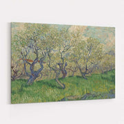 Orchard in Blossom 1889 by Vincent Van Gogh wall art