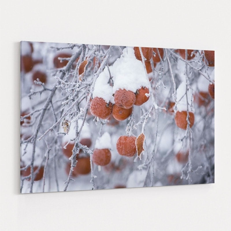 Orchard In Winter by Alan Majchrowicz wall art
