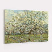Orchard with Blossoming Apricot Trees 1888 by Vincent Van Gogh wall art