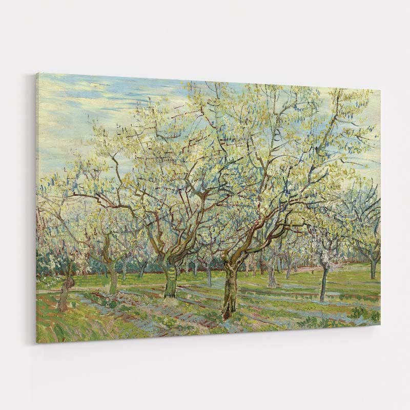 Orchard with Blossoming Apricot Trees 1888 by Vincent Van Gogh wall art