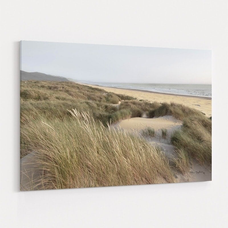 Oregon Dunes by Alan Majchrowicz wall art