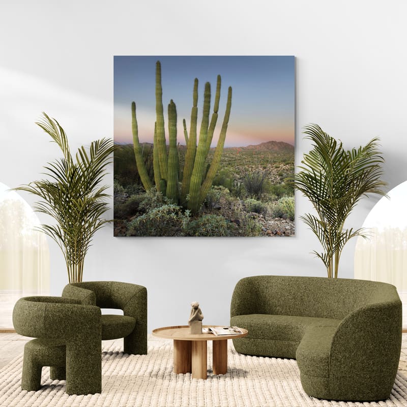 Organ Pipe Cactus At Dusk Crop by Alan Majchrowicz wall art in a living room