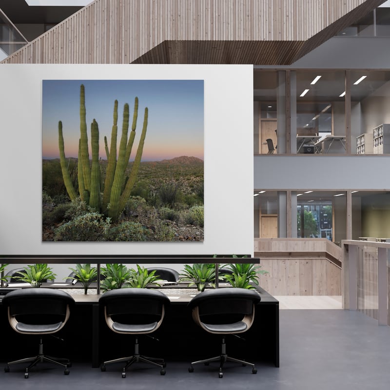 Organ Pipe Cactus At Dusk Crop by Alan Majchrowicz wall art from Glam Wall Art
