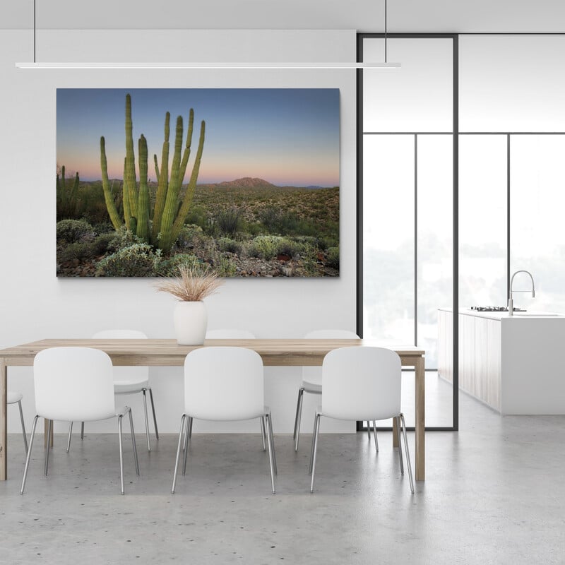 Organ Pipe Cactus At Dusk by Alan Majchrowicz wall art in a dining room