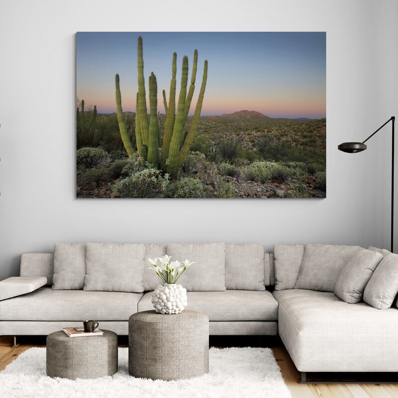 Organ Pipe Cactus At Dusk by Alan Majchrowicz wall art from Glam Wall Art