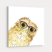 Owl in Glasses by Mercedes Lopez Charro wall art