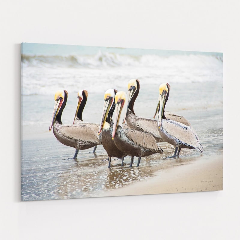 Pacific Cool IV by Elizabeth Urquhart wall art