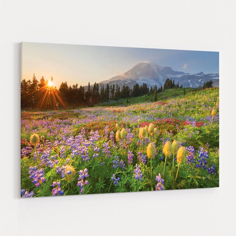 Paradise Wildflower Meadows I by Alan Majchrowicz wall art