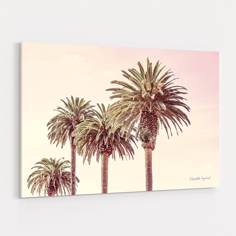 Pastel Palms by Elizabeth Urquhart wall art