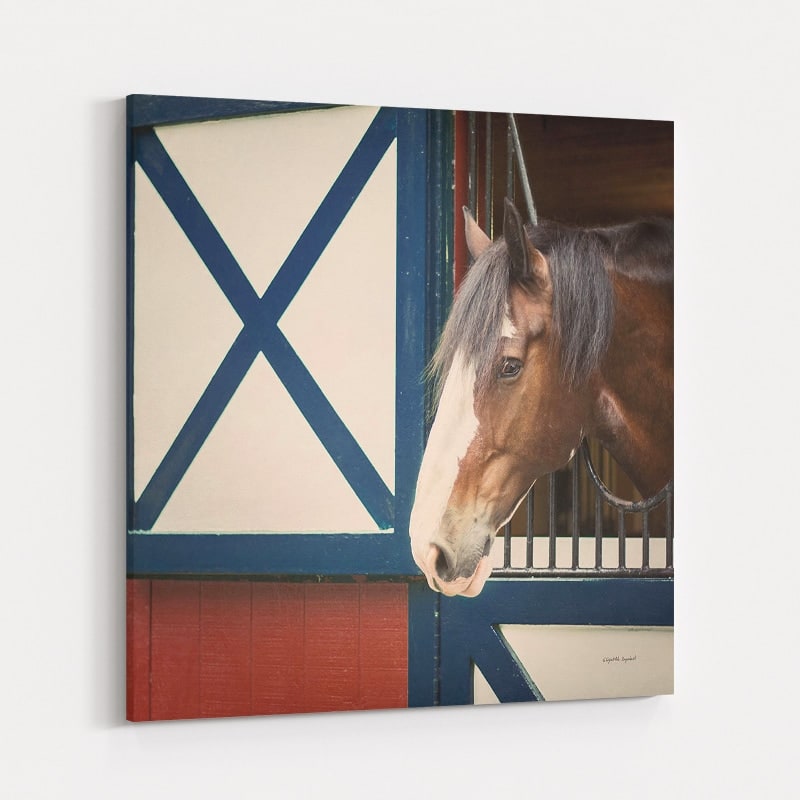 Patriotic Pony I Crop by Elizabeth Urquhart wall art