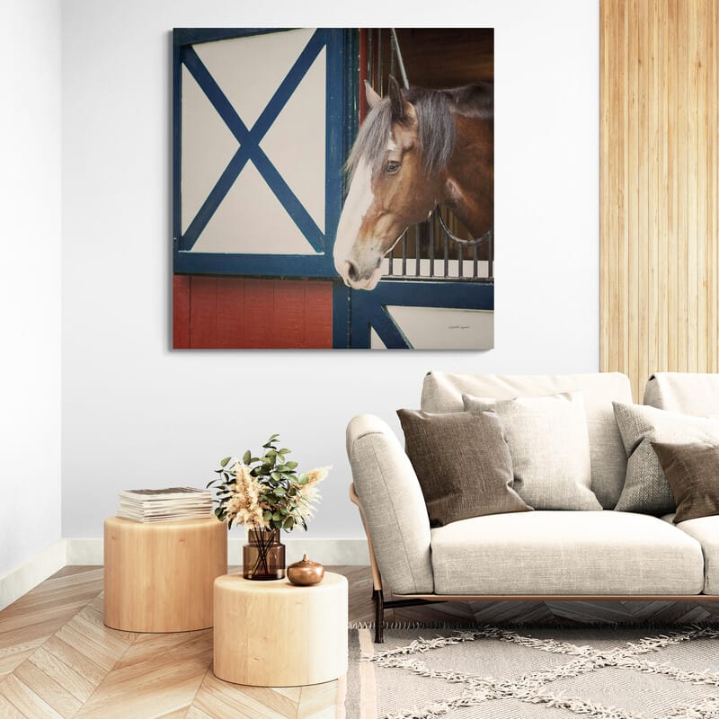 Patriotic Pony I Crop by Elizabeth Urquhart wall art in a living room