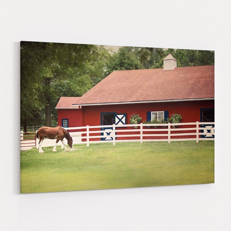 Patriotic Pony II by Elizabeth Urquhart wall art