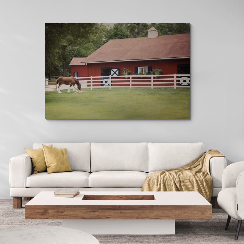 Patriotic Pony II by Elizabeth Urquhart wall art in a living room