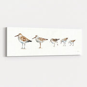 Pebbles and Sandpipers IX No Words Border by Lisa Audit wall art