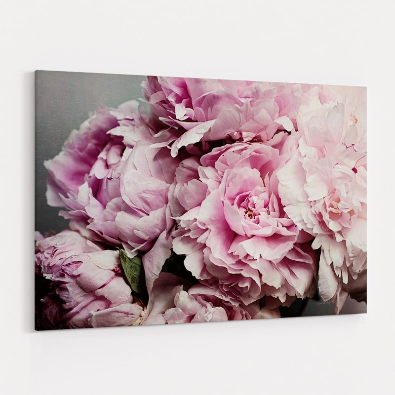 Peonies Galore by Elizabeth Urquhart wall art