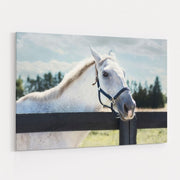 Polo Pony I by Elizabeth Urquhart wall art