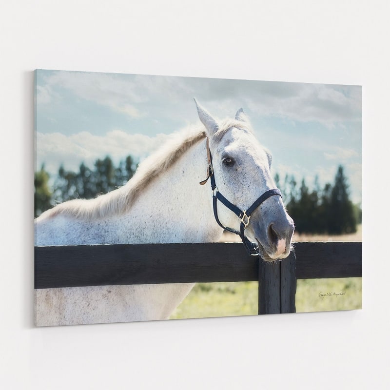 Polo Pony I by Elizabeth Urquhart wall art