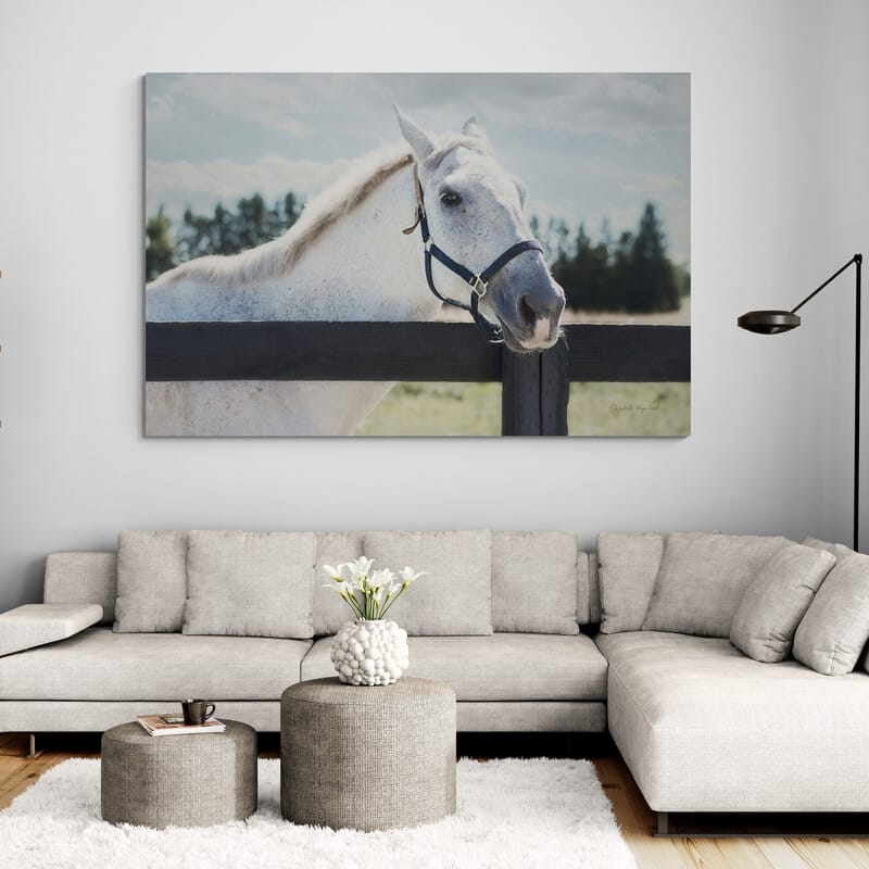 Polo Pony I by Elizabeth Urquhart wall art in a living room