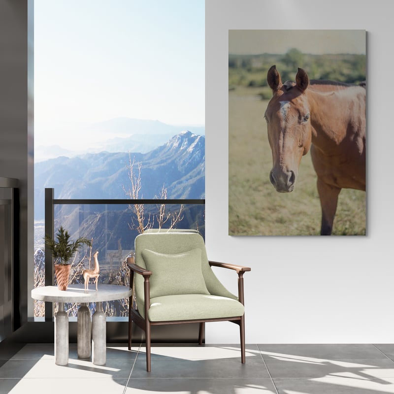 Polo Pony II by Elizabeth Urquhart wall art in a living room
