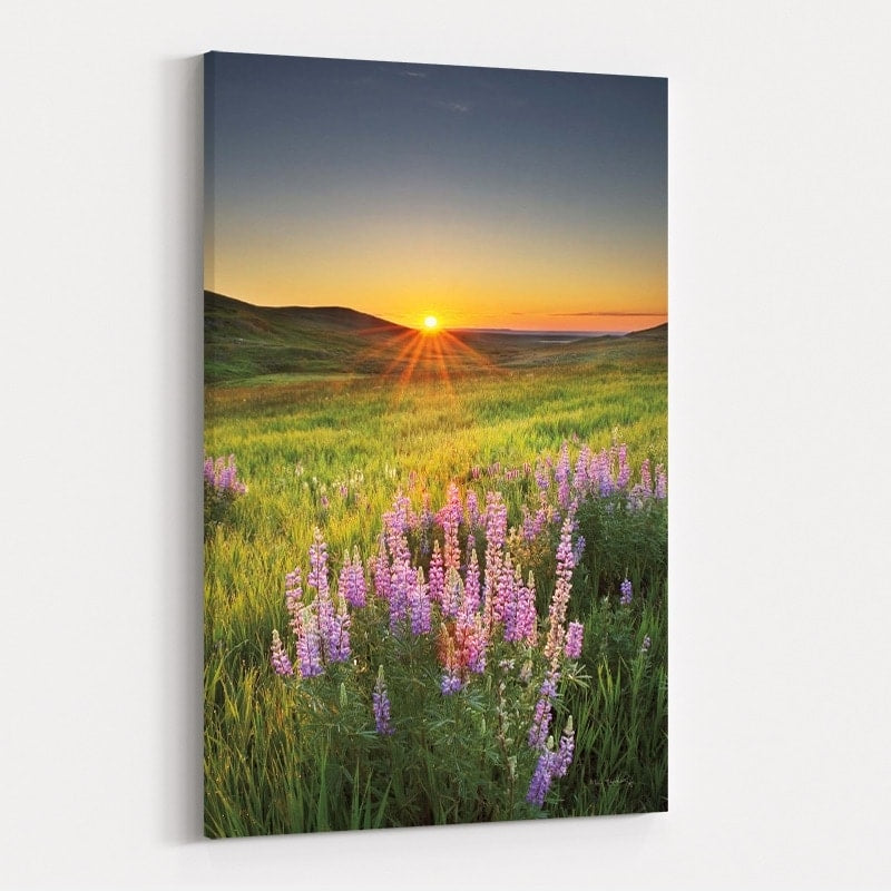 Prairie Sunrise by Alan Majchrowicz wall art
