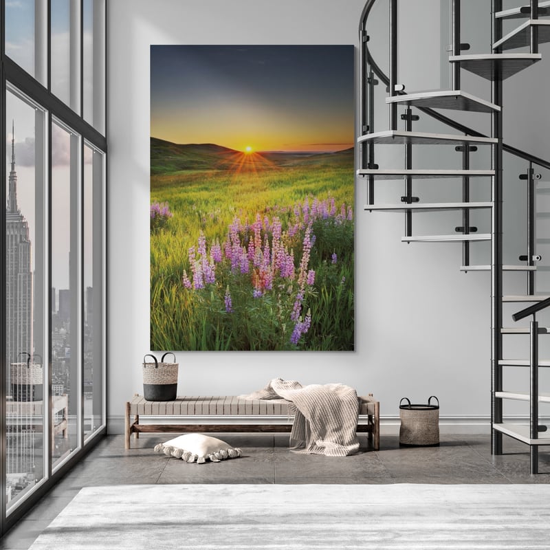 Prairie Sunrise by Alan Majchrowicz wall art in a living room