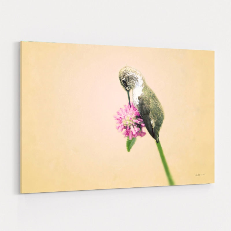 Resting II by Elizabeth Urquhart wall art