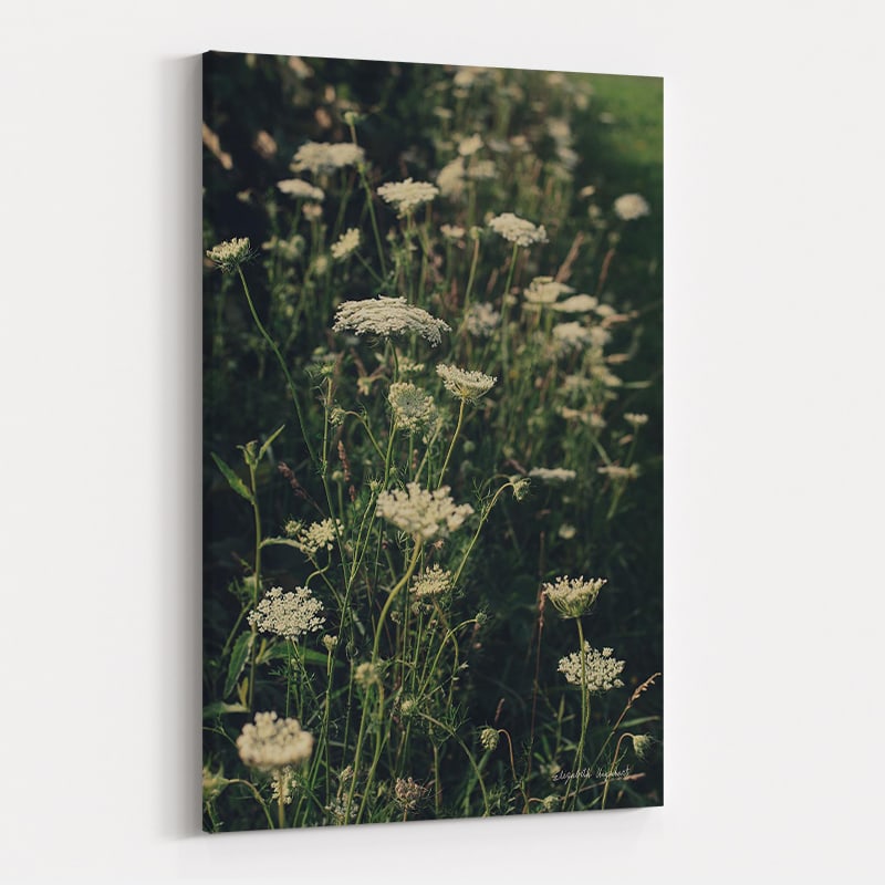 Running Wild I by Elizabeth Urquhart wall art
