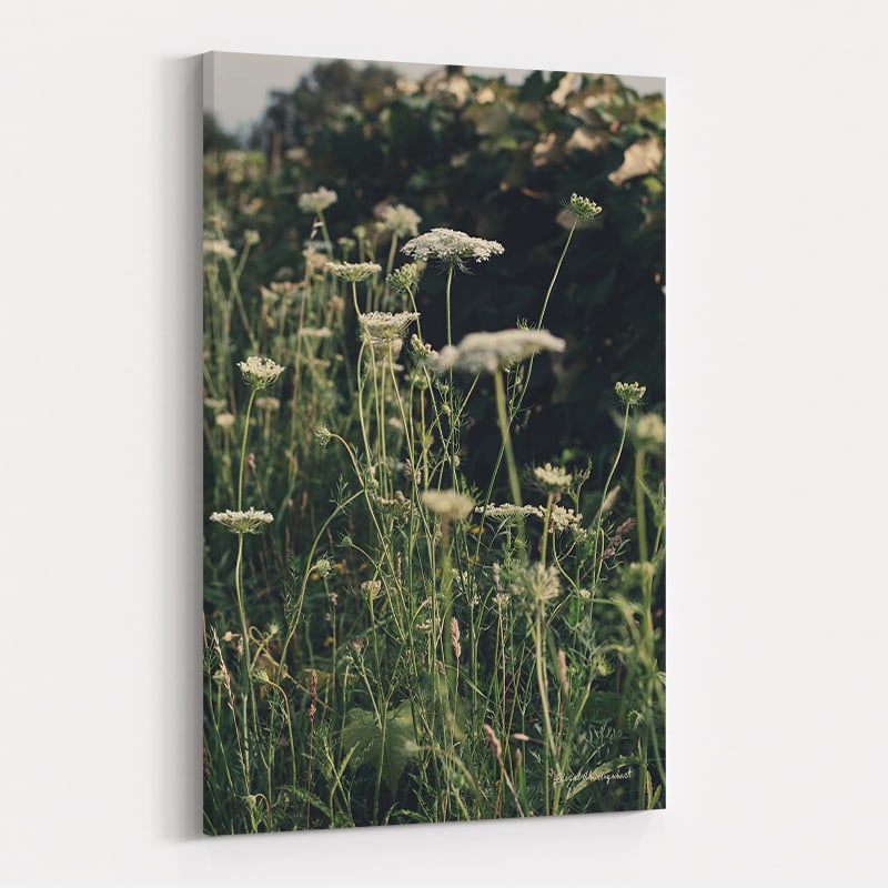 Running Wild II by Elizabeth Urquhart wall art