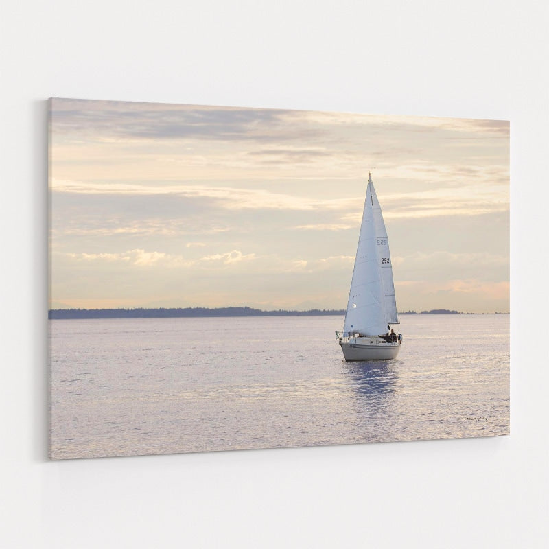 Sailboat In Semiahmoo Bay by Alan Majchrowicz wall art