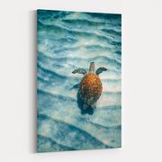 Sandbar Sea Turtle I by Max Blakesberg Studios wall art