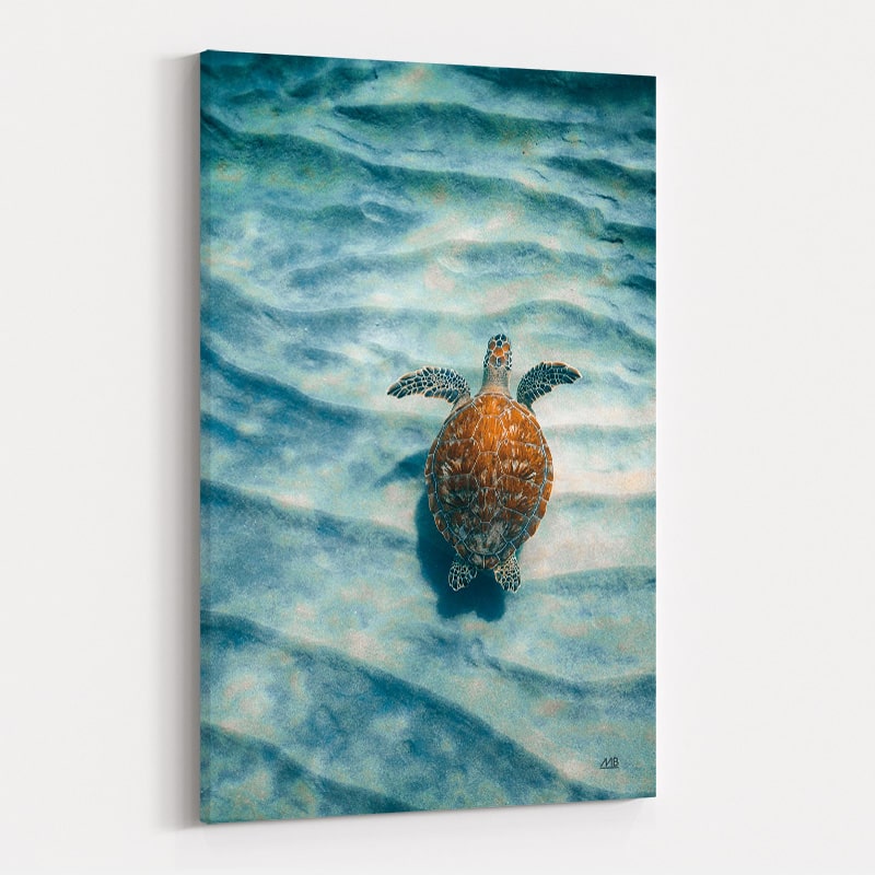 Sandbar Sea Turtle I by Max Blakesberg Studios wall art