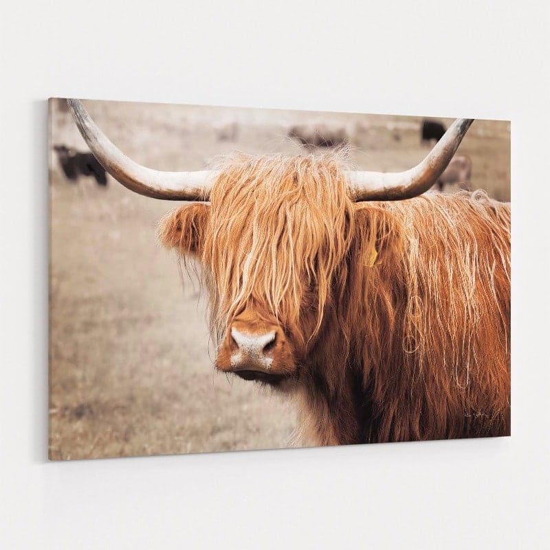 Scottish Highland Cattle I Neutral by Alan Majchrowicz wall art