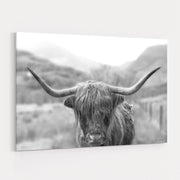 Scottish Highland Cattle III Neutral Crop by Alan Majchrowicz wall art