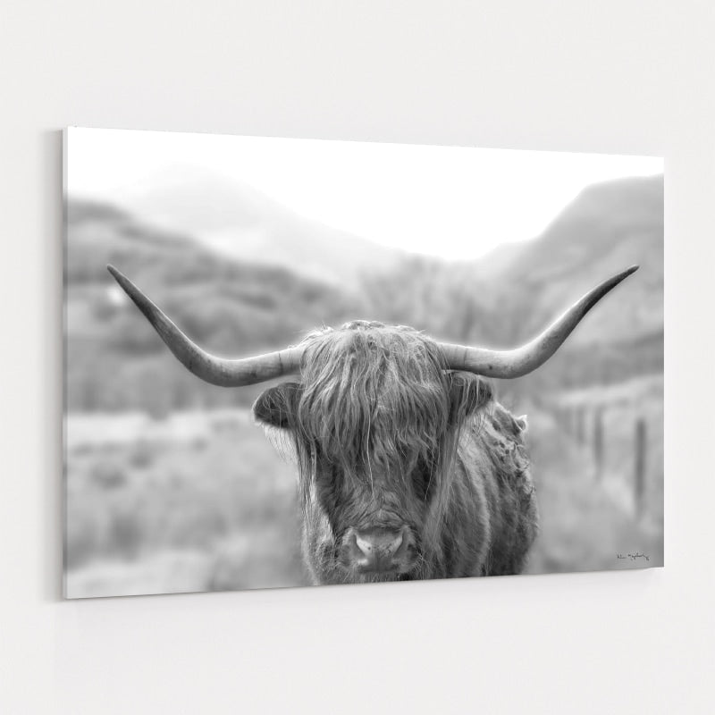 Scottish Highland Cattle III Neutral Crop by Alan Majchrowicz wall art