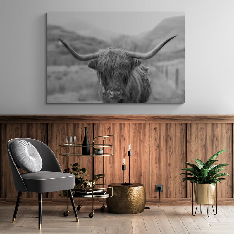 Scottish Highland Cattle III Neutral Crop by Alan Majchrowicz wall art in a living room