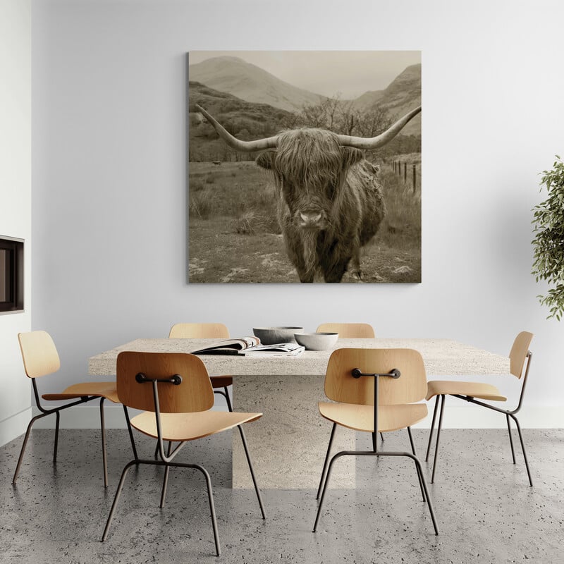 Scottish Highland Cattle III Sepia by Alan Majchrowicz wall art in a dining room