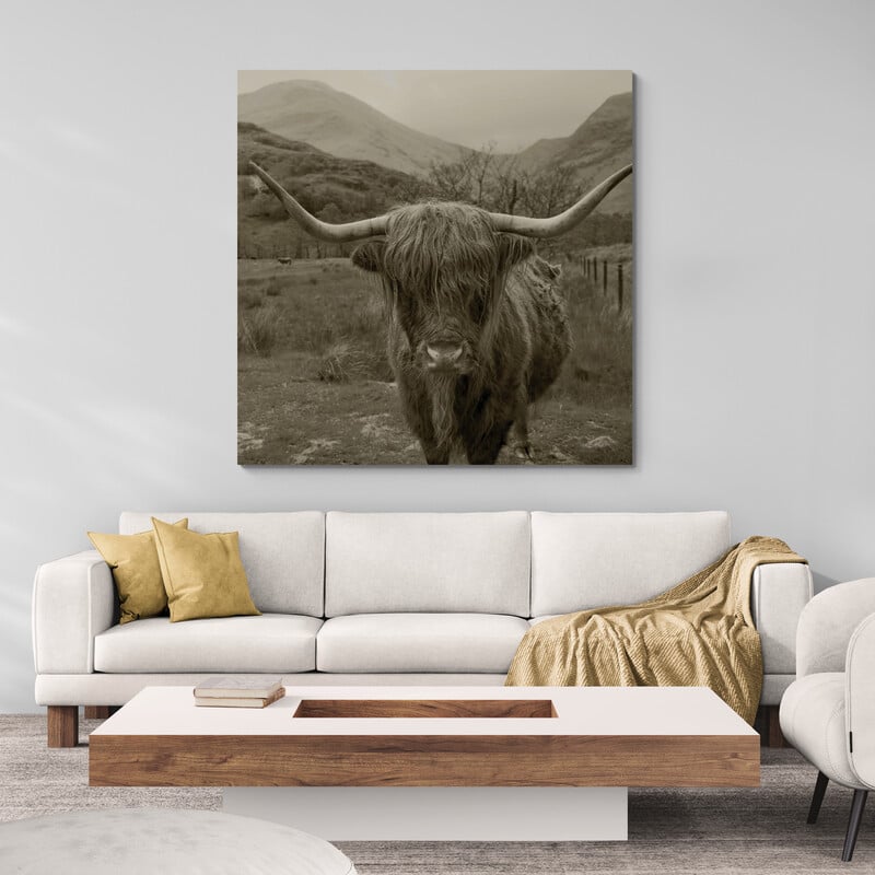 Scottish Highland Cattle III Sepia by Alan Majchrowicz wall art from Glam Wall Art