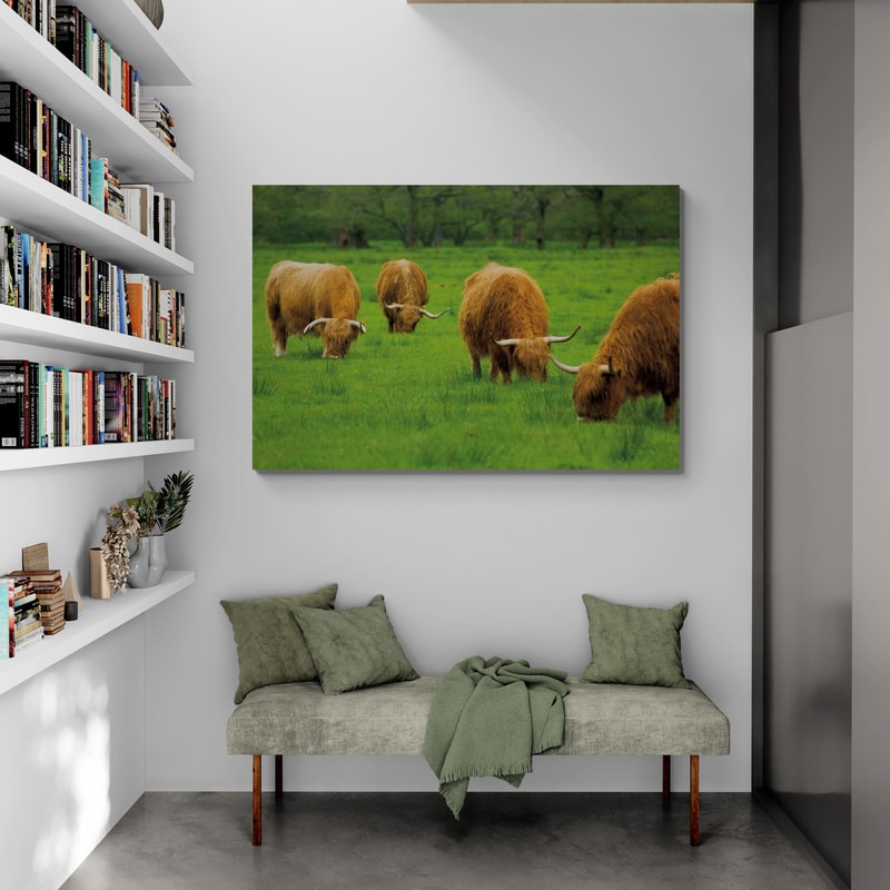 Scottish Highland Cattle Ix by Alan Majchrowicz wall art from Glam Wall Art