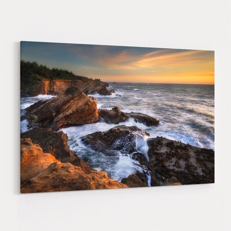 Shore Acres by Alan Majchrowicz wall art
