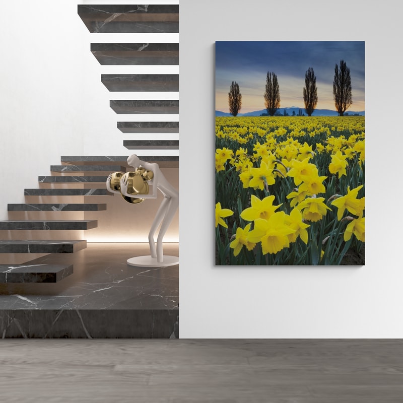 Skagit Valley Daffodils I by Alan Majchrowicz wall art from Glam Wall Art