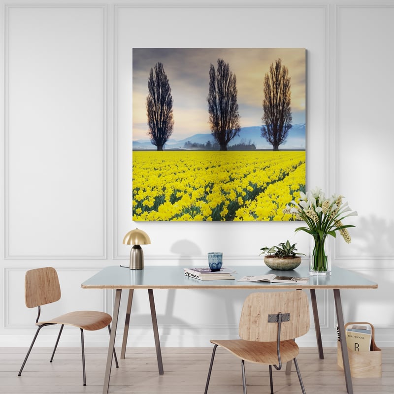 Skagit Valley Daffodils Ii by Alan Majchrowicz wall art from Glam Wall Art