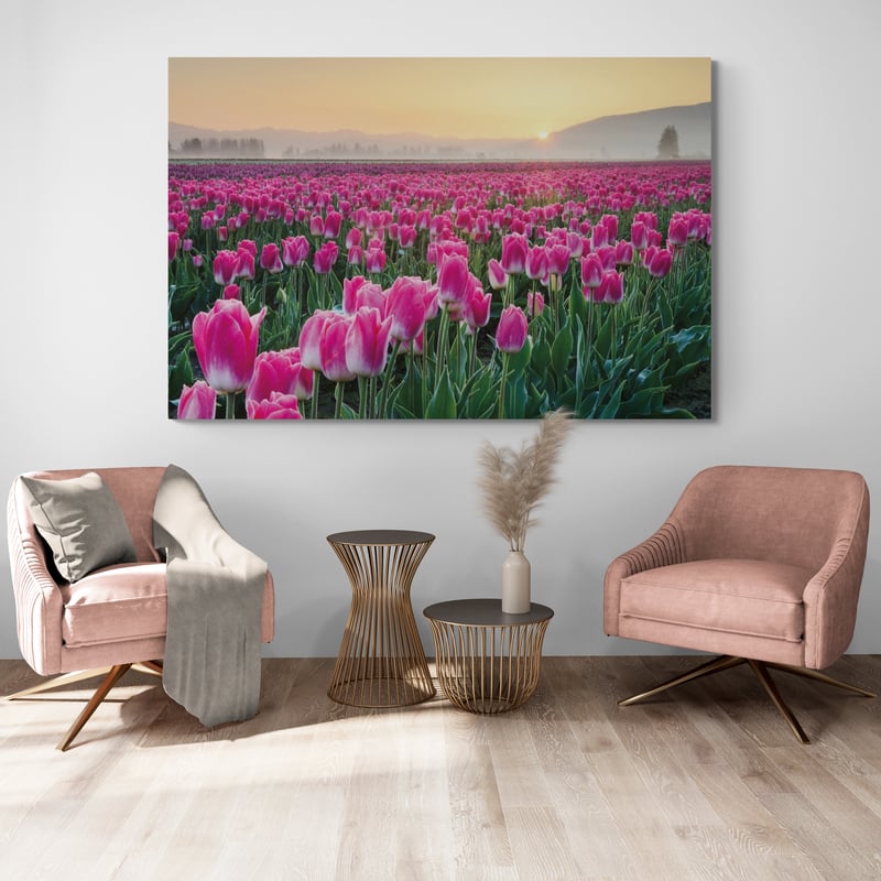 Skagit Valley Tulips I by Alan Majchrowicz wall art in a living room