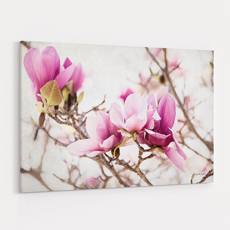 Spring is In the Air III by Elizabeth Urquhart wall art