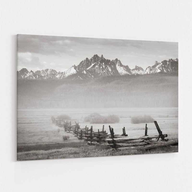 Stanley Basin Fence And Fog by Alan Majchrowicz wall art